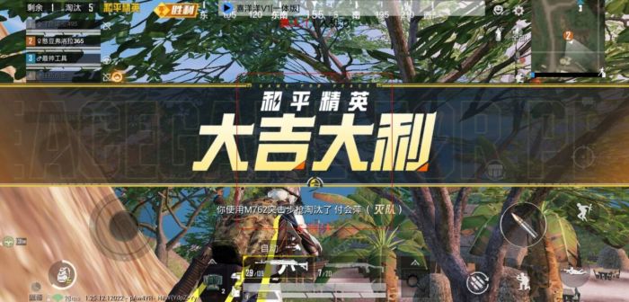 和平挂 锁头 透视 锁血 - 一体化辅助包推荐